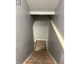 A stairway with a carpeted runner and wooden steps.
