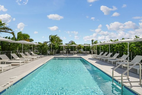 A large swimming pool surrounded by sun loungers and trees.