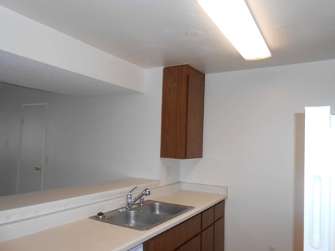 A kitchen with a sink and cabinets.