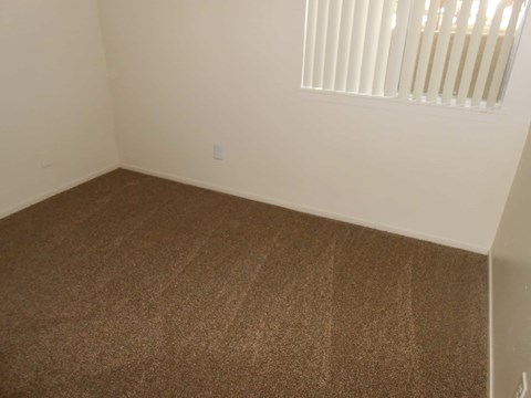 A room with a brown carpet and a window with blinds.