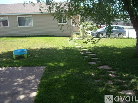 A small tree is in front of a house.