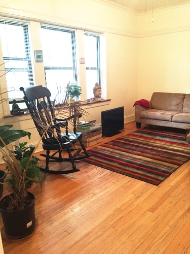 A living room with a chair, couch, and a plant.