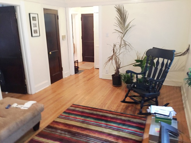 A room with a chair and a plant.