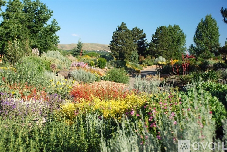 A field of wildflowers in the foreground with trees in the background.