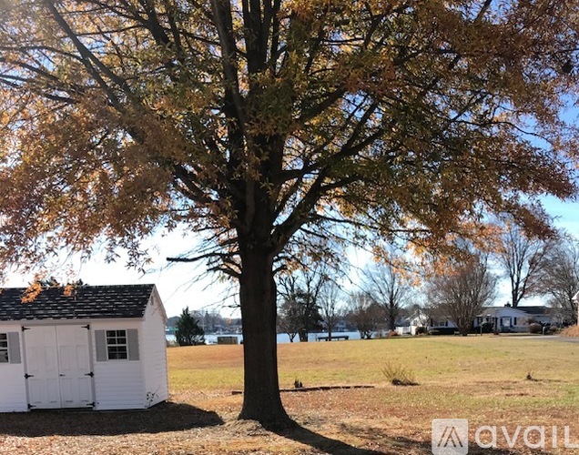 A tree with brown leaves stands in a field with a small white building behind it.