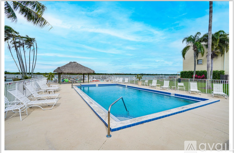 A pool surrounded by palm trees and lounge chairs.