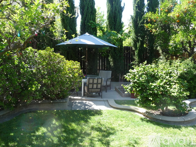 A gazebo is surrounded by greenery in a sunny garden.