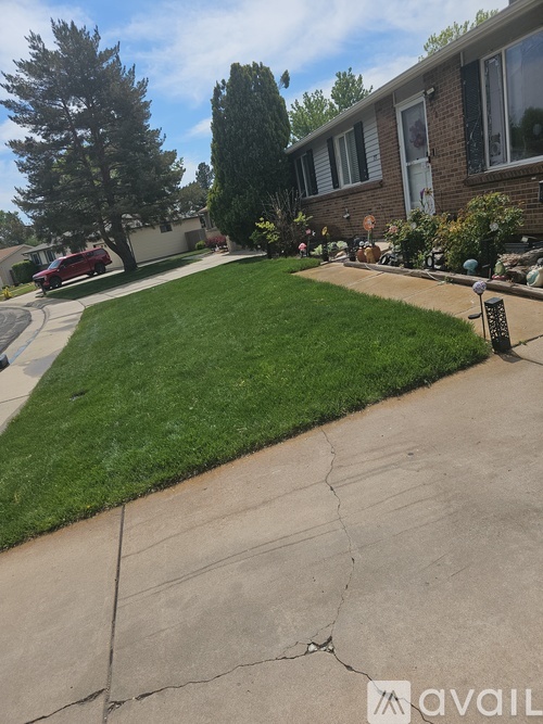 A well-kept lawn in front of a house with a driveway.