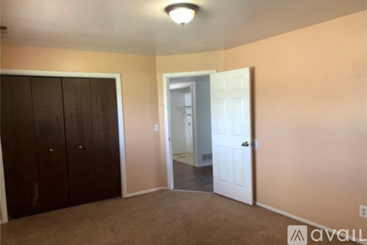 A room with a brown carpet and a white door.