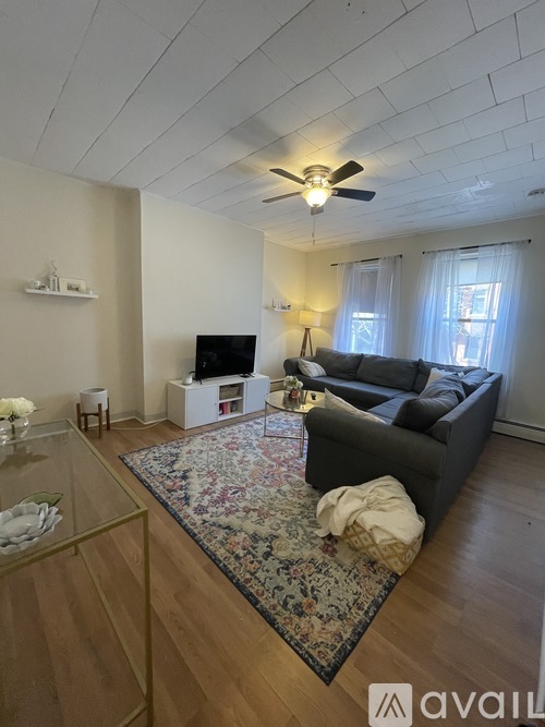 A living room with a couch, a television, and a rug.