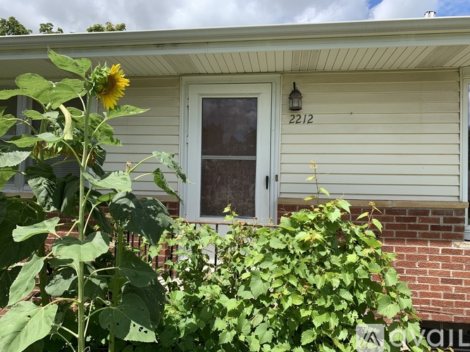A sunflower stands in front of a house with the number 2212 on the front door.
