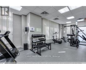 A gym with a variety of equipment including a treadmill, weights, and a bench press.