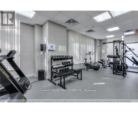 A gym with a variety of equipment including a treadmill, weights, and a bench press.