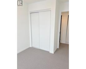 A white closet with a grey carpet in a room.