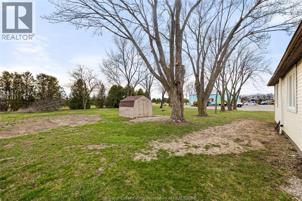 A grassy area with a tree and a shed in the background.