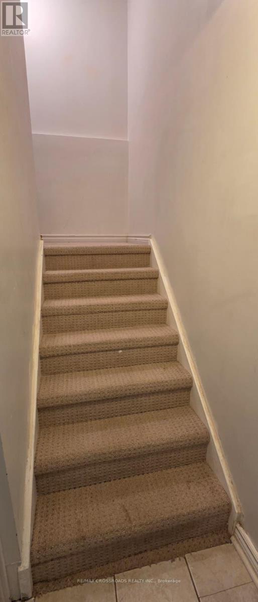 A staircase with beige carpeted steps and white walls.