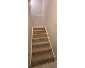 A staircase with beige carpeted steps and white walls.