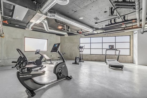 A gym with a row of exercise bikes and a treadmill.