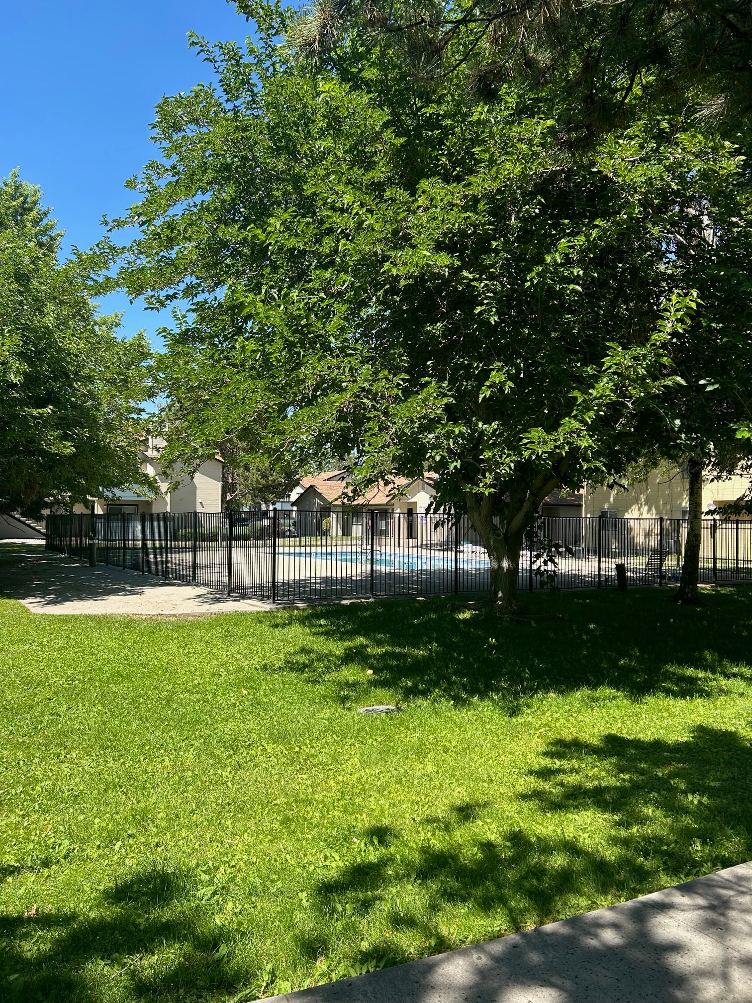 A green grass area with a tree and a fence.