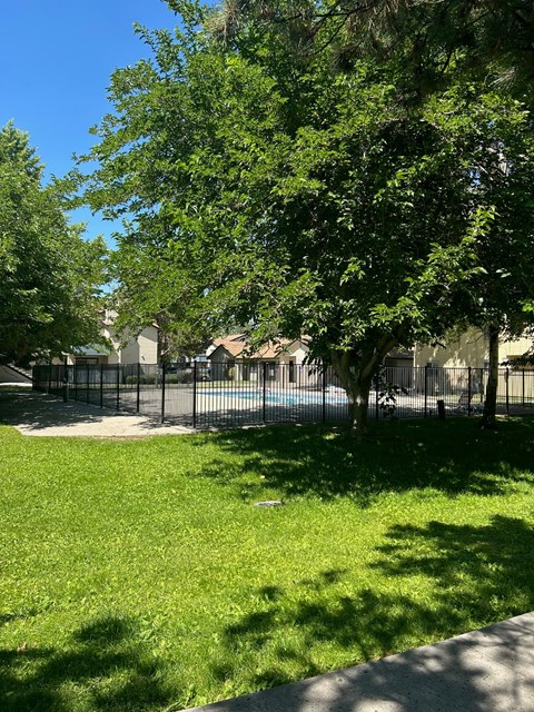 A green grass area with a tree and a fence.
