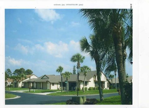 A row of houses with a palm tree in front.