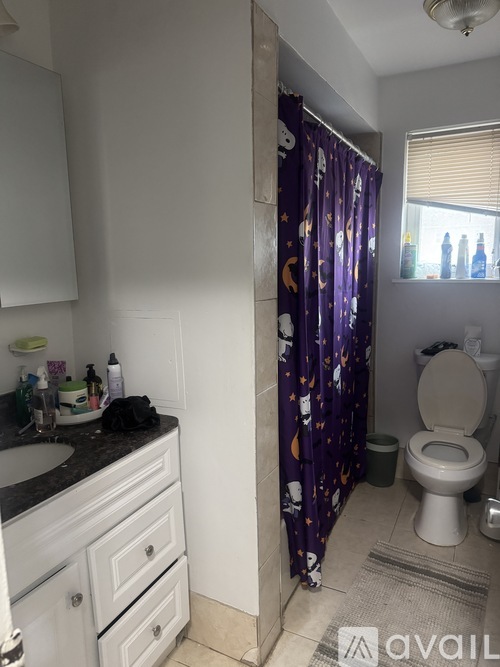 A bathroom with a toilet, sink, and shower curtain.