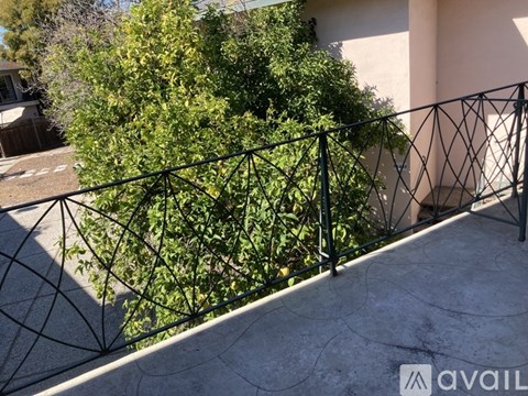 A black metal fence with a green leafy tree behind it.