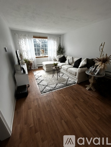A living room with a couch, a coffee table, and a rug.