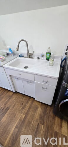 A kitchen sink with a bottle of dish soap on the counter.