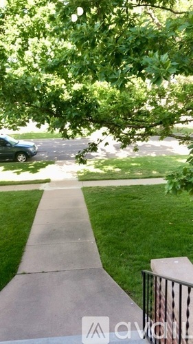 A sidewalk with a metal railing and a tree branch in the foreground.