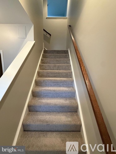 A staircase with a carpeted runner and wooden handrails.