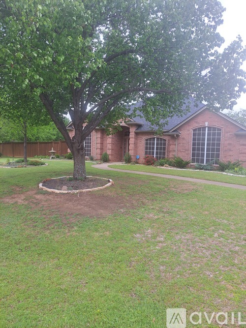 A tree in a grassy area in front of a house.