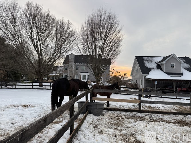 A horse is eating out of a trough in a snowy field.