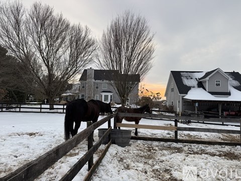 A horse is eating out of a trough in a snowy field.