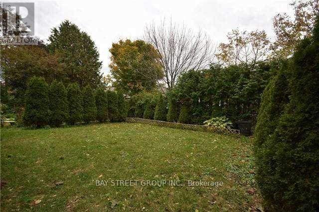 A grassy area with trees and bushes in the background.