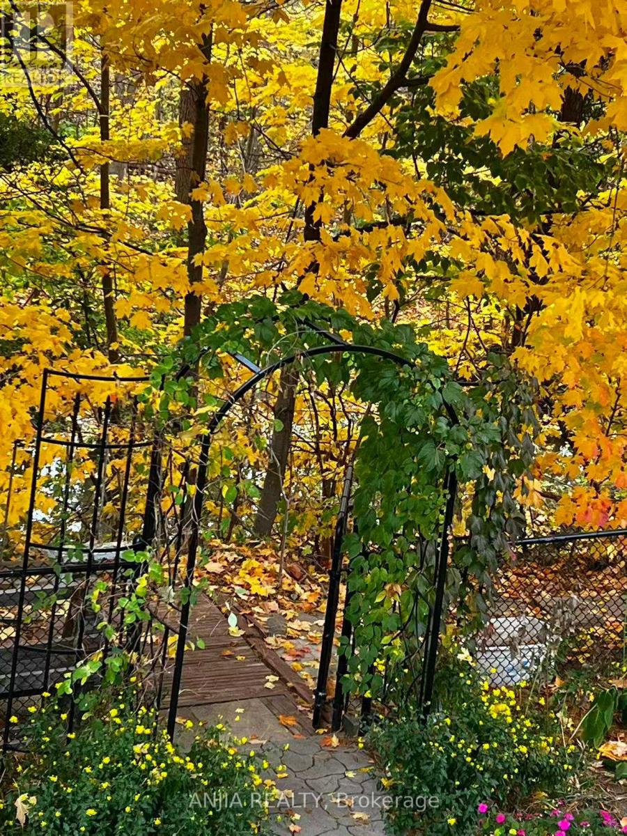 A garden with a wooden walkway and a metal archway.