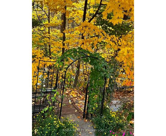 A garden with a wooden walkway and a metal archway.