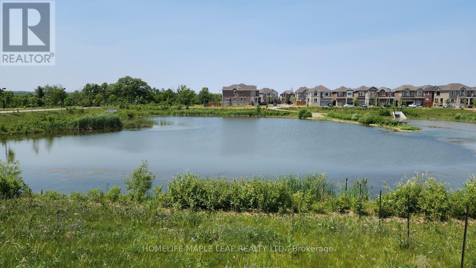 A lake surrounded by greenery and houses in the background.