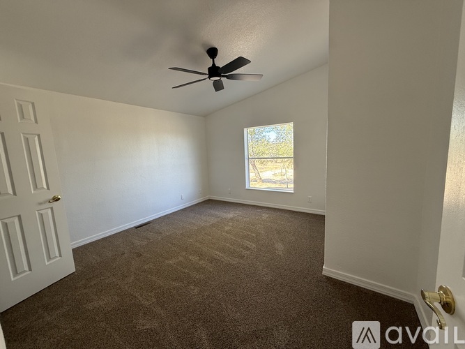 A room with a ceiling fan and a window showing a tree outside.