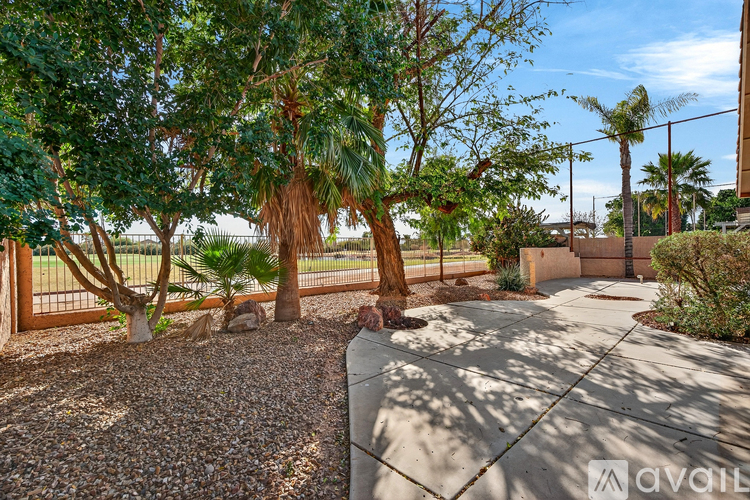 A sunny day in a landscaped yard with a gravel area and a concrete walkway.