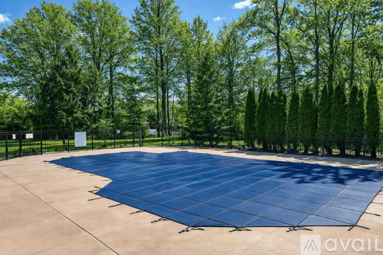 A large blue tarp covers a concrete surface surrounded by trees.