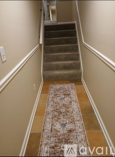 A staircase with a rug on the floor.