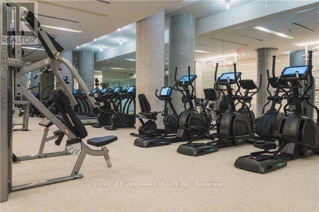 A gym with a variety of equipment including treadmills, stationary bikes, and weight machines.