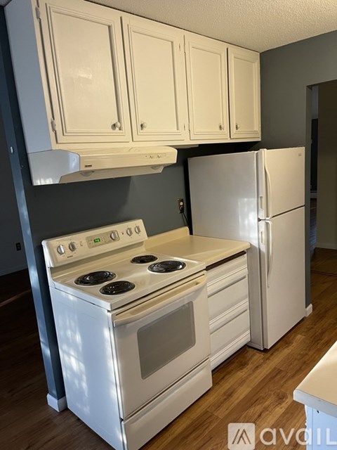 A white stove and refrigerator in a kitchen.