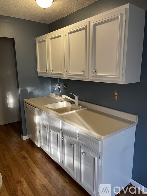 A kitchen with white cabinets and a sink.