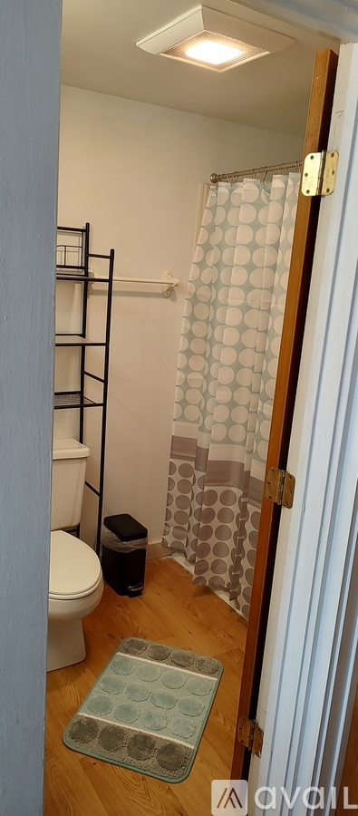 A bathroom with a toilet, a shower curtain, and a rug on the floor.