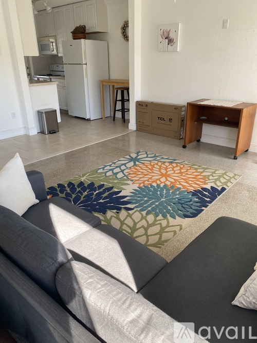 A living room with a grey couch and a rug with a flower design.