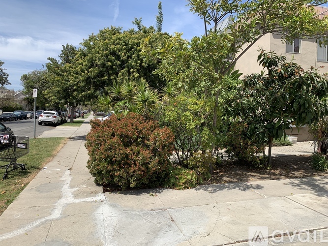 A sidewalk with a bush and trees in front of a house.