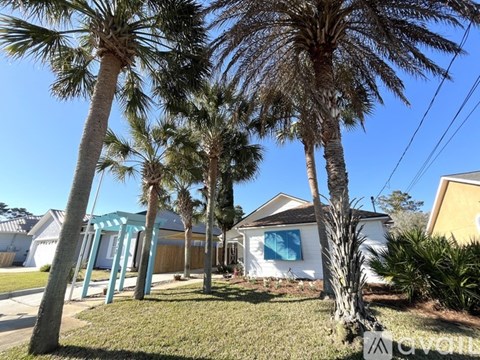 A house with a white exterior and a blue awning is surrounded by palm trees.