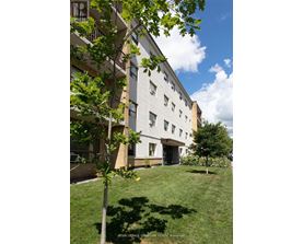 A tree in front of a building with a sign that says "Foyer LePage Signature REALTY Brokerage".